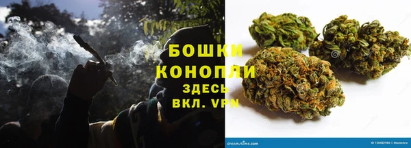 ГАЛЛЮЦИНОГЕННЫЕ ГРИБЫ Нея