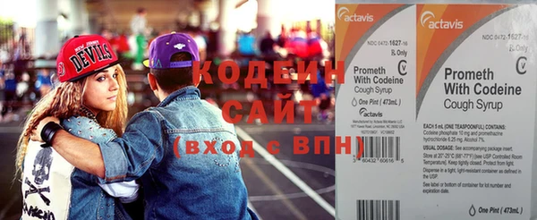 ГАЛЛЮЦИНОГЕННЫЕ ГРИБЫ Нея