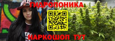 гашик Заводоуковск