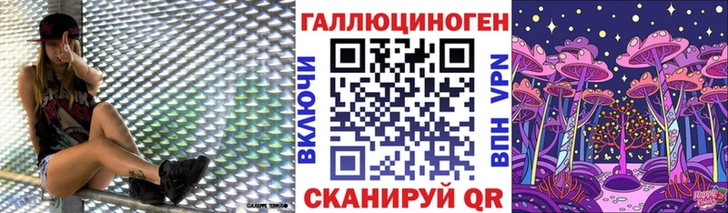 Галлюциногенные грибы MAGIC MUSHROOMS  продажа наркотиков  дарк нет клад  Тюмень  ОМГ ОМГ  